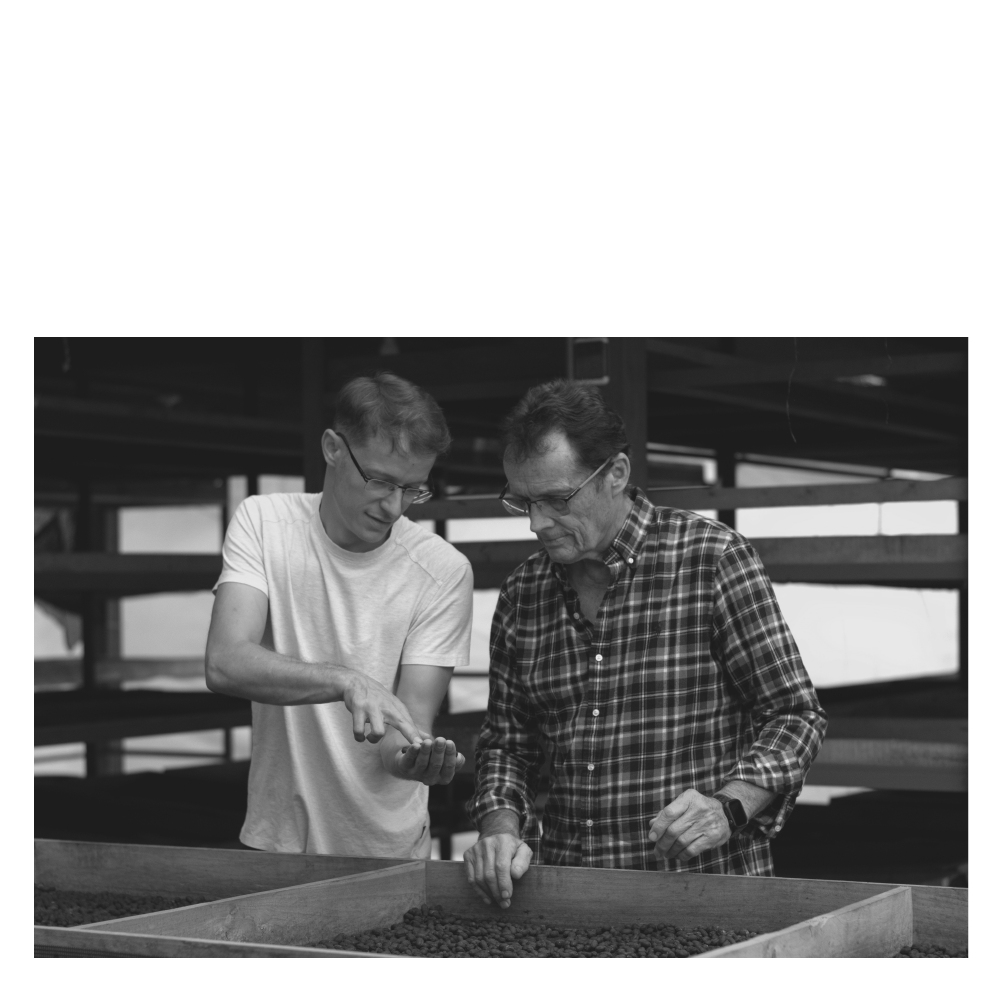 Interview with coffee producer | Kevin Doyle