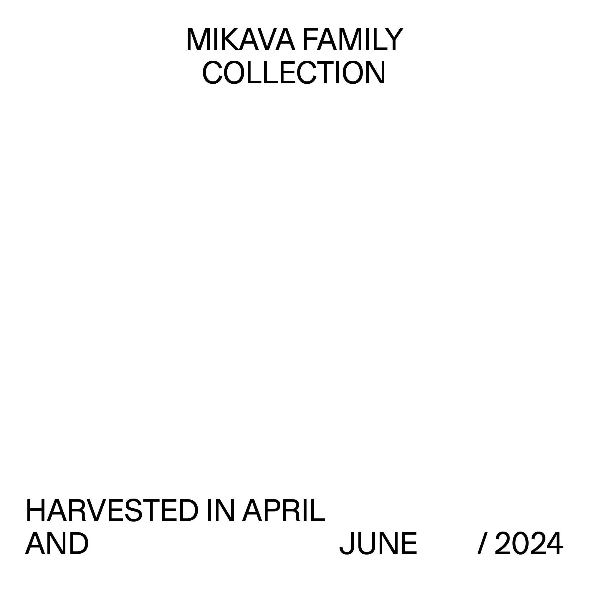 MIKAVA FAMILY COLLECTION 2EA SET ( ~ 11 Oct )