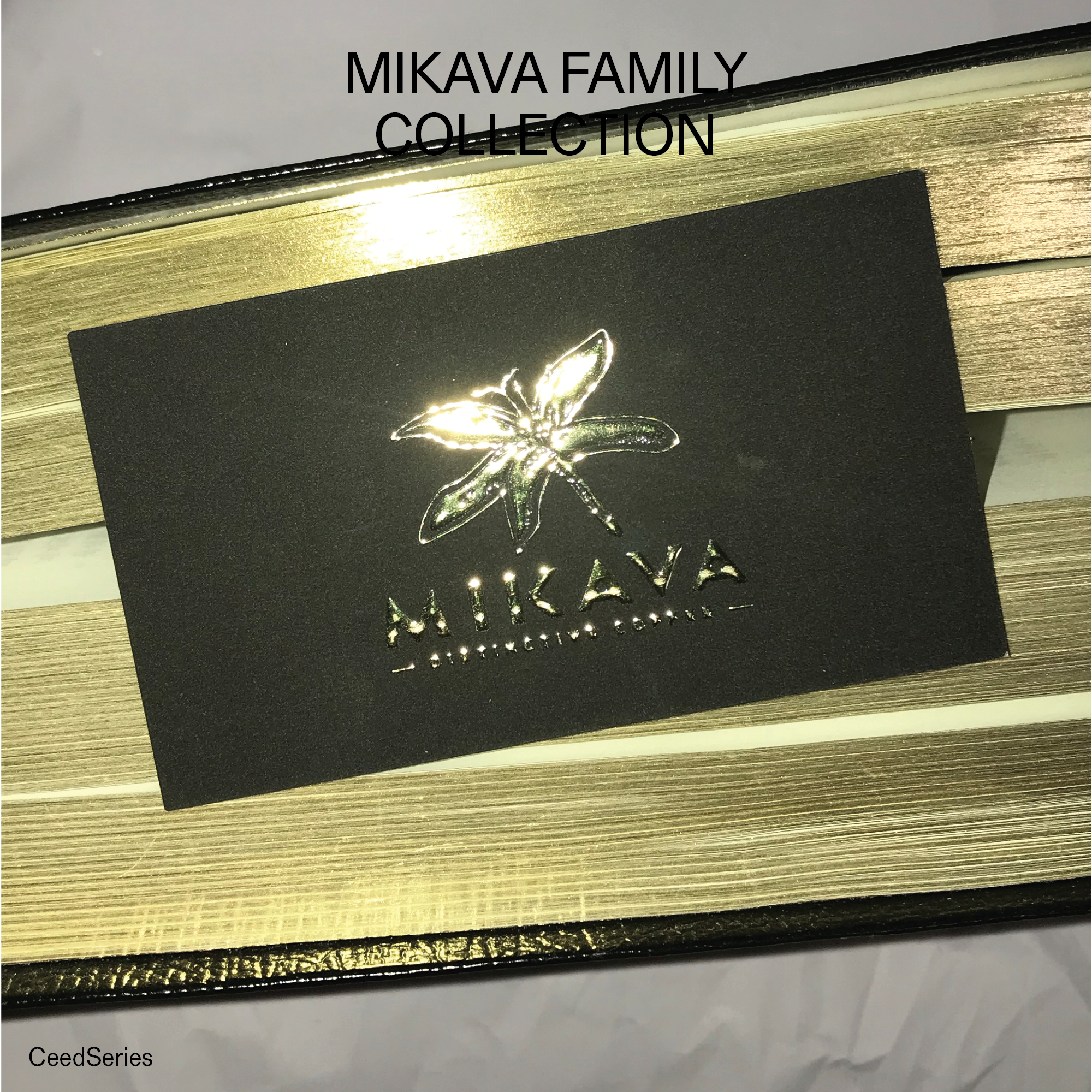 MIKAVA FAMILY COLLECTION 2EA SET ( ~ 11 Oct )