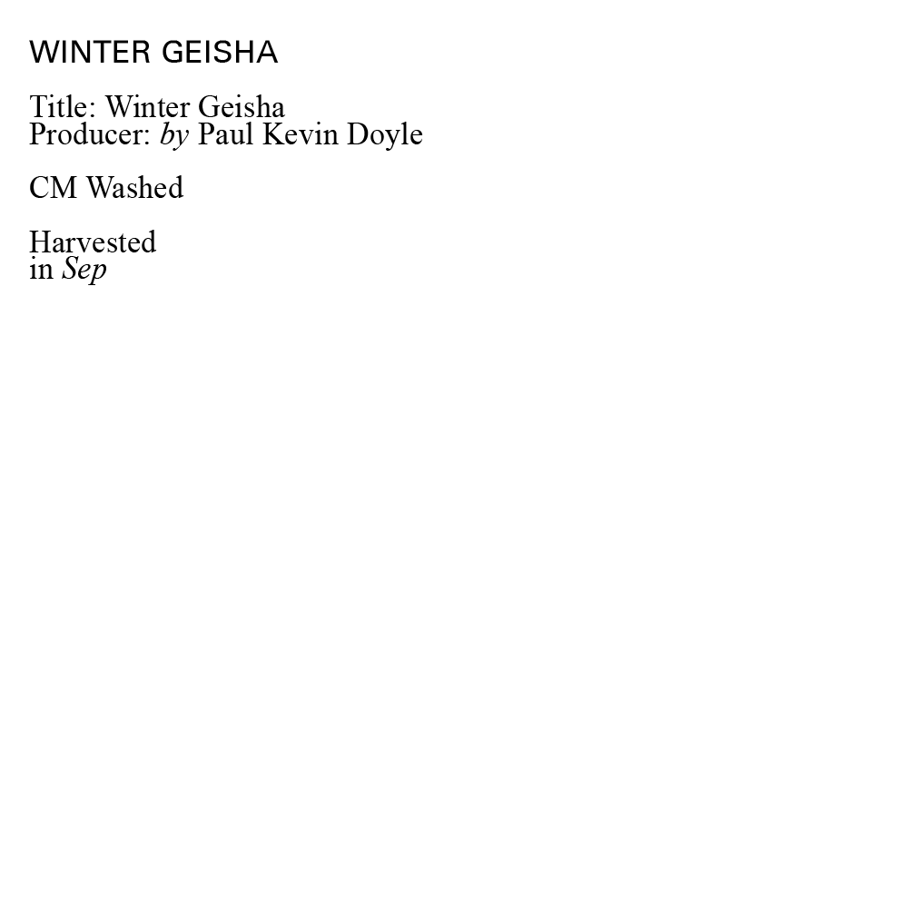 NOW* Paul Kevin Doyle | Winter Geisha